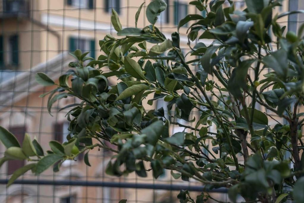 Rosy'S House Un Attico A Due Passi Dall'Acquario Parking Free Apartment Genoa Exterior photo